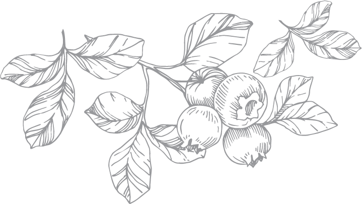 Mingler Dekoelement beere-header