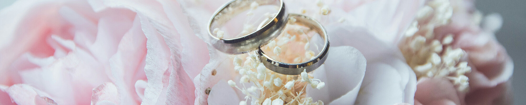 Zwei Eheringe liegen auf rosa Blüten