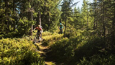 Road cycling during a summer holiday in Kitzbühel